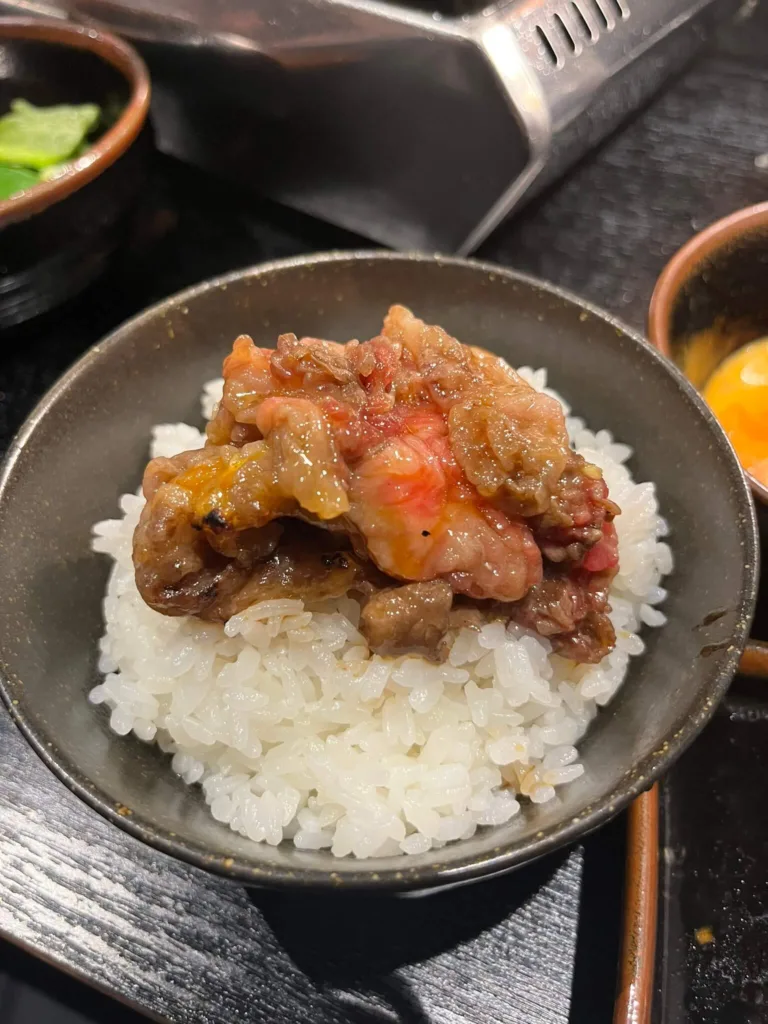 とろとろのお肉をオンザライス
