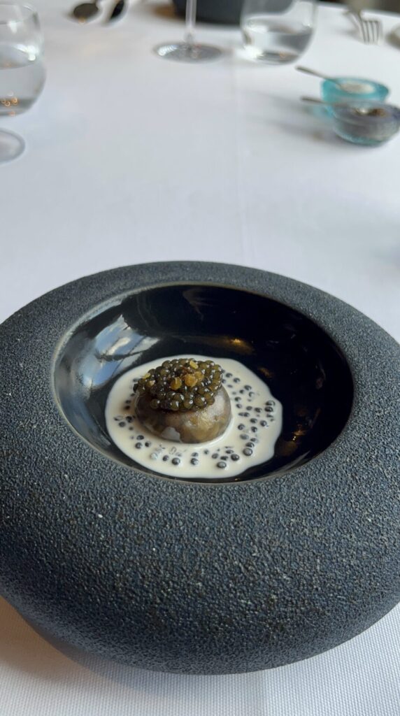 Mystery starter②
