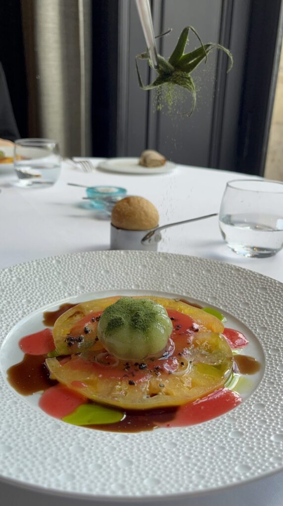 Bursting tomato in summer color①